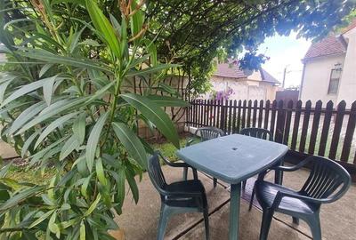 Poveste saseasca la umbra vitei de vie, cu crama si gradina cu flori, Central Co - 9