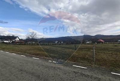 Teren Construcții intravilan de 2007 mp, în Șurdești - 6