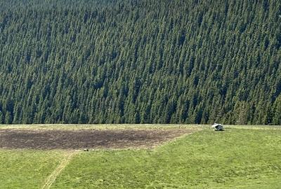 Magurele Teren 3.000 mp ideal pentru ansamblu de case / dezvoltare - 1