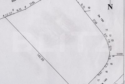 Teren extravilan cu potential ridicat, 10.000 mp, zona Blaj - Petrisat