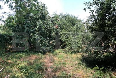 Casa individuala 3 camere Parter 90 mp utili , teren 1980 mp - 3