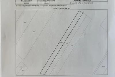 Teren de 10000 mp, în Căteasca - 1