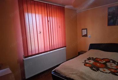 Proprietate mixta de vanzare in Nadlac Casa moderna + hala/grajd + teren mare - 9