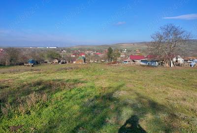 Teren de 2000 mp, în Topolog - 8