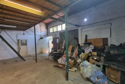 Casa și hala de vamzare în zona Colentina / Danone - 6
