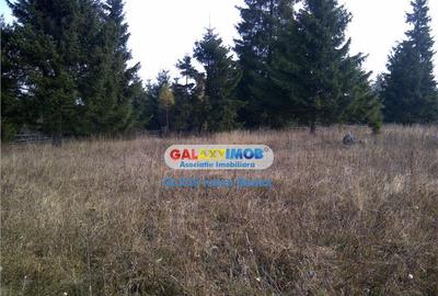 Teren pentru Complex Turistic - 12 730 mp - Vatra Dornei - 4