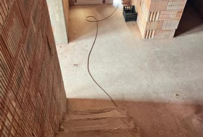 Casă cu 5 camere cu Teren 3100 Mp în Măneuți - 8