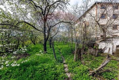 Teren de 1095mp de vanzare in Parneava - 2