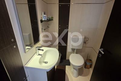 Apartament cu 3 camere decomandat, mobilat în Herăstrău - 17