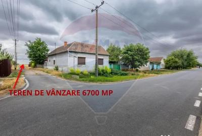 Teren de 6700 mp, în Variașu Mare - 2