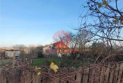 Casă cu Teren 2500 Mp în Lazu - 17