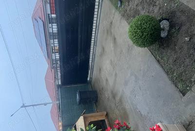 Casă cu 3 camere în Vidra - 8