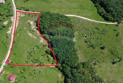 Teren de 55600 mp, în Codru Butesii - 11