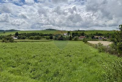 Teren Construcții intravilan de 3200 mp, în Așchileu Mic - 5