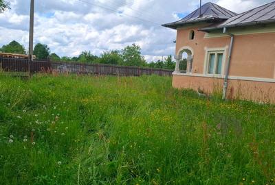 Casa Moraresti 3 camere parter si teren stradal intravilan 6522 mp - 15