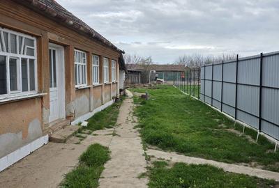 Casă cu 3 camere în Macea - 2