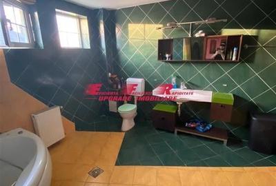 EFR UPGRADE - Casa de vanzare 7 camere Brancoveanu - Giurgiului - 11