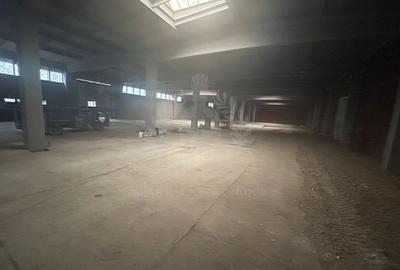 Spațiu industrial, în B-dul București - 8