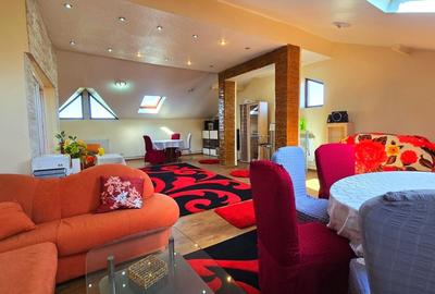 Vila ta aproape de natura – 8 camere, Lacul Pasarea - 57