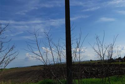 Teren de 9600 mp, în Central - 2