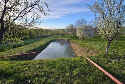 Casă individuală cu 6 camere cu Teren 1600 Mp în Sirețel - 10