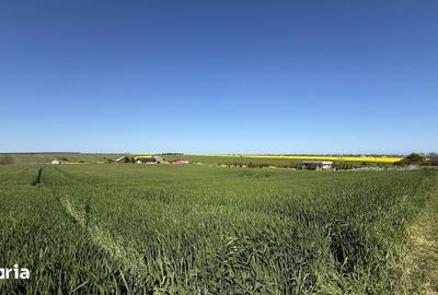 Teren de 436 mp, în Central - 16