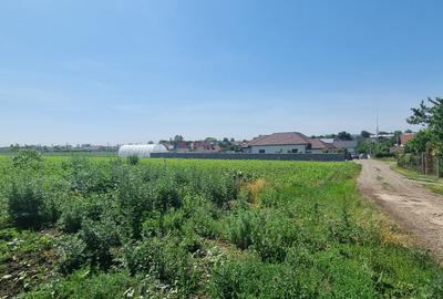 Teren Construcții intravilan de 10000 mp, în Cătămărești-Deal - 2