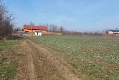 Teren de 10000 mp, în Dârvari - 3