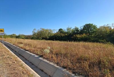Teren de 1500 mp, în Sărand