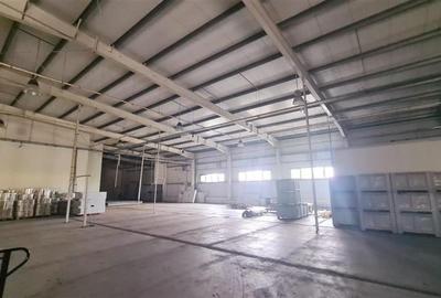 Hala industriala cu depozit Frigo, 3650 mp , Timisoara NORD - 2