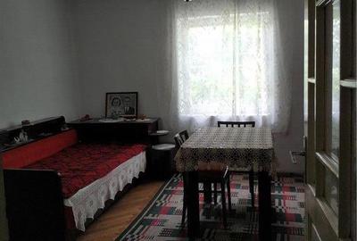 Casă cu 5 camere cu Teren 3500 Mp în Sântana - 7