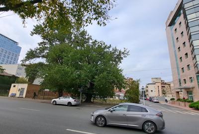 TEREN AMPLASAT IDEAL-  SPLAIUL UNIRII  -CAMERA DE INDUSTRIE - PASAJ MARASESTI - 14