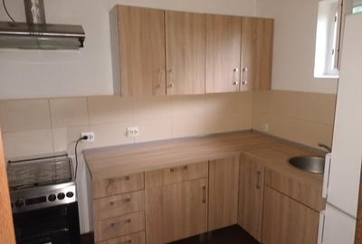 Casă individuală cu 3 camere cu Teren 543 Mp în Becicherecu Mic - 6