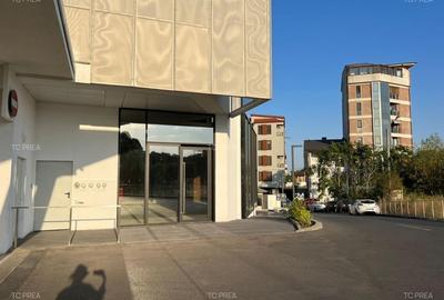 Spatiu comercial parter herestrau verdi - 7