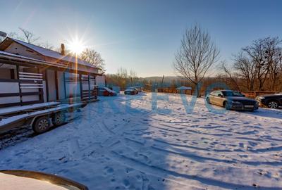 Proprietate cu casa si spatiu comercial+teren 4060 mp Bahna - 43