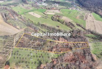 Teren de vanzare in Gro?i, Maramure?, 55 ari - 6