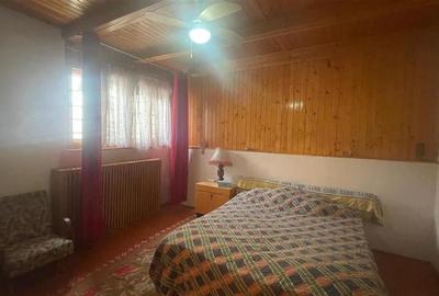 Ferdinand, cartier rezidential, vila burgheza cu magnolie - 7