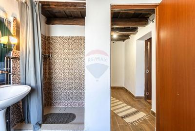 Casa / Vila cu 7 camere de vanzare - 40