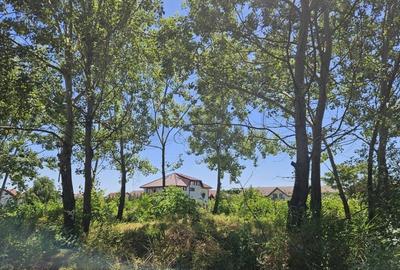 REL4001156 Teren de vanzare in Baneasa - 5