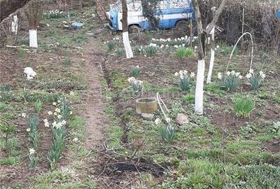 Teren de 600 mp, în Triaj - 11