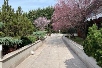 Vanzare Apartament 3 Camere Modern Iancu Nicolae - 26