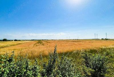 Teren de 75000 mp, în Costești