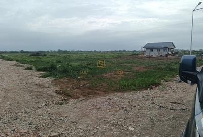 Teren de vanzare, Frumusani, Ilfov, ideal investitie, DNCB Teren de vanzare, Frumusani, Ilfov, ideal investitie, DNCB - 9