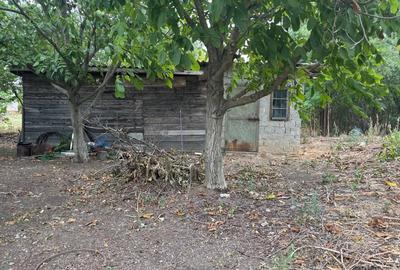 Casă cu 3 camere cu Teren 1930 Mp în Cojești - 7