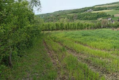 Teren de 3600 mp, în Central - 2