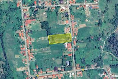 Teren de 4500 mp, în Brebu - 11