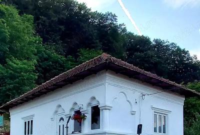 Vand casa la munte ! - 4