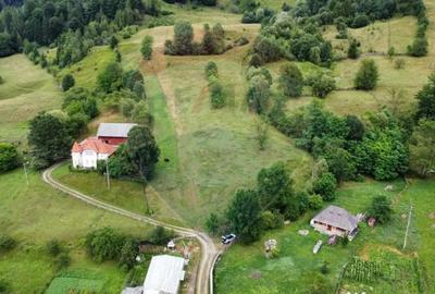 Teren de 6865 mp, în Voroneț - 10