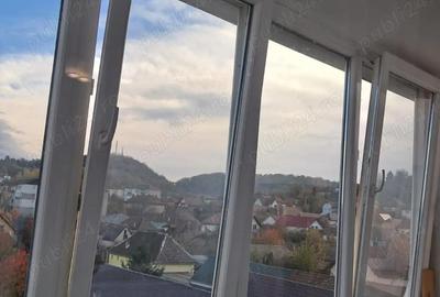 Apartament cu 2 camere semidecomandat în Vitrometan - 8
