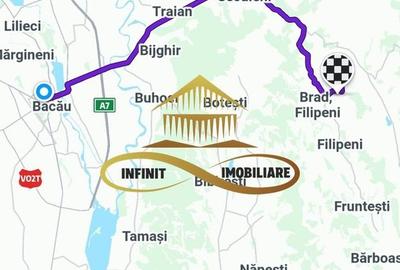 Casa batraneasca cu 2ha de teren de vanzare in sat Balaia / Bacau - 17